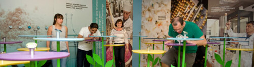 Artikelbild für: Ausstellungs-Tipp: Europas größte Duftausstellung im Botanischen Garten der Ruhr-Universität Bochum