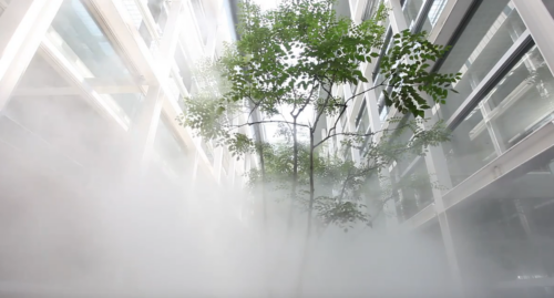 Artikelbild für: Faszinierende Nebelinstallationen von Fujiko Nakaya