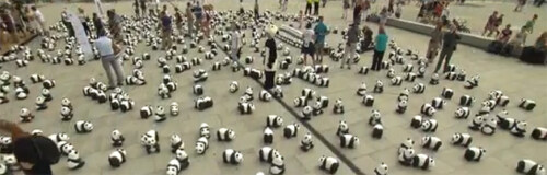 Artikelbild für: Pandas on Tour: WWF Roadshow mit Big Picture Faktor