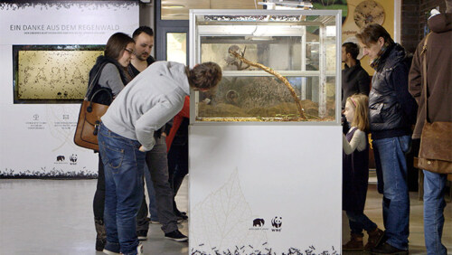 Artikelbild für: Ameisen-Demo & -Dankeskarten: zwei Promotion-Aktionen des WWF und Kölner Zoos
