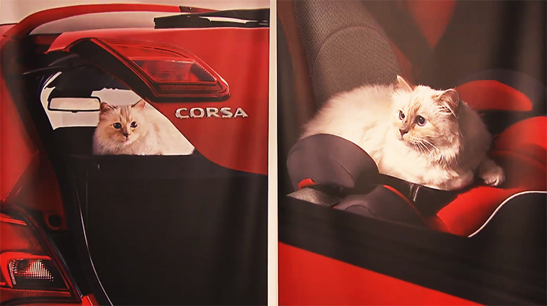 Artikelbild für: „Corsa Karl und Choupette“ – nur Cat Content für Boulevard Fans? Jetzt echt?!