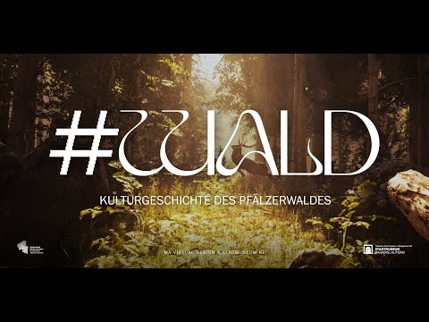 #WALD Interactive VR Experience - Casefilm